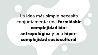 La idea más simple necesita
conjuntamente una formidable
complejidad bio-
antropológica y una hiper-
complejidad sociocultural.
 