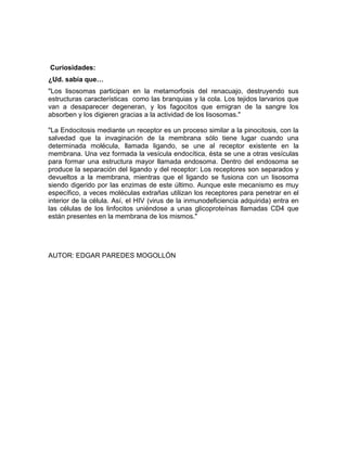 Curiosidades:
¿Ud. sabía que…
"Los lisosomas participan en la metamorfosis del renacuajo, destruyendo sus
estructuras características como las branquias y la cola. Los tejidos larvarios que
van a desaparecer degeneran, y los fagocitos que emigran de la sangre los
absorben y los digieren gracias a la actividad de los lisosomas."

"La Endocitosis mediante un receptor es un proceso similar a la pinocitosis, con la
salvedad que la invaginación de la membrana sólo tiene lugar cuando una
determinada molécula, llamada ligando, se une al receptor existente en la
membrana. Una vez formada la vesícula endocítica, ésta se une a otras vesículas
para formar una estructura mayor llamada endosoma. Dentro del endosoma se
produce la separación del ligando y del receptor: Los receptores son separados y
devueltos a la membrana, mientras que el ligando se fusiona con un lisosoma
siendo digerido por las enzimas de este último. Aunque este mecanismo es muy
específico, a veces moléculas extrañas utilizan los receptores para penetrar en el
interior de la célula. Así, el HIV (virus de la inmunodeficiencia adquirida) entra en
las células de los linfocitos uniéndose a unas glicoproteínas llamadas CD4 que
están presentes en la membrana de los mismos."




AUTOR: EDGAR PAREDES MOGOLLÓN
 