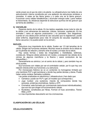 verde propio es el que da color a la plante. La ultraestructura nos habla de una
   estructuración interna constituída por una apilación de estructuras similares a
   monedas. A estas se les llama grana y a cada una se le llama granum.
   Funcionan como celdas fotoeléctricas ( acumulan energía solar ) para realizar
   la fotosíntesis. Su eficiencia depende la estructura química de los granum que


h) VACUOLAS
       Espacios dentro de la célula. En los tejidos vegetales duran toda la vida de
   la célula y son almacenes de esencias, colores, azúcares, aceites,etc. En los
   animales ( salvo en algunos protozoarios ) no persisten. Son disgestivas,
   cuando en una célula joven animal se ven vacuolas que no digestionan, puede
   estar enferma, degenerado poco vital. El conjunto de vacuolas vegetales se
   llama vacuoma ( no puede existir en la animal ).

NUCLEO.
      Estructura muy importante de la célula. Suelen ser 1/3 del tamañao de la
  célula. Dirigen las funciones celulares. Muchas veces la división de la célula es
  por la pérdida de relación y tamaño ente el núcleo y el resto de la célula.
      Hay varias formas ( todas las imaginables ). Estrelladas, esfericas,
  ovoides,etc. Ninguna célula sobrevive sin núcleo, a excepción las células de la
  córnea de algunos mamíferos y la floema ( vasos conductore de las
  traqueofitas ).
      Generalmente es céntrico ( en el centro de la célula ), pero también hay en
  otros puntos.
      Sus funciones son vitales por ser el controlador celular, por lo que hay una
  relación directa entre sus funciones y su estructura.
      Por microscopio fotónico se ve un contenido no homogeneo limitado por
  una membran PLP o gel (carioteca) y donde hay partes densas y claras. Puede
  haber varios núcleos, llamados nucleolos.
      Las partes analizadas en electrónico ( ultraestructura ) han dado que:
       Carioteca: puede ser PLP o gel ( el modelo que corresponda ).
       Jugo nuclear: una sustancia, mezcla de compuestos donde hay
         azúcares, proteínas enzimáticas, lípidos y ATP.
       Cromatina: esta formado por cromosomas (estructuras individualizadas),
         que son los que dirigen el funcionamiento celular.
       Nucleolos: constituidos por fibras. Forman el huso acromático. Tienen
         RNA y ATP.
      Lo mas importantes descubierto son los cromosomas.



CLASIFICACIÓN DE LAS CÉLULAS


CÉLULA EUCARIOTA
 