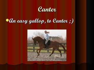 Canter ,[object Object]