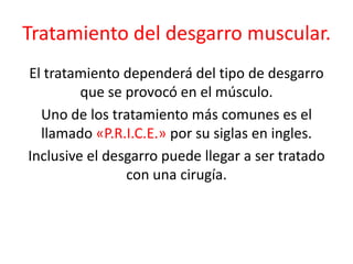 Tratamiento del desgarro muscular.
El tratamiento dependerá del tipo de desgarro
que se provocó en el músculo.
Uno de los tratamiento más comunes es el
llamado «P.R.I.C.E.» por su siglas en ingles.
Inclusive el desgarro puede llegar a ser tratado
con una cirugía.

 