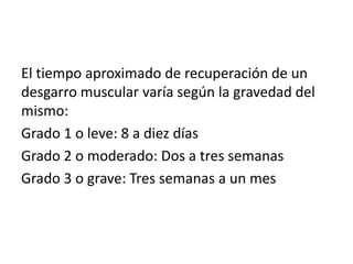 El tiempo aproximado de recuperación de un
desgarro muscular varía según la gravedad del
mismo:
Grado 1 o leve: 8 a diez días
Grado 2 o moderado: Dos a tres semanas
Grado 3 o grave: Tres semanas a un mes

 