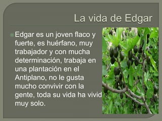  Edgar

es un joven flaco y
fuerte, es huérfano, muy
trabajador y con mucha
determinación, trabaja en
una plantación en el
Antiplano, no le gusta
mucho convivir con la
gente, toda su vida ha vivido
muy solo.

 