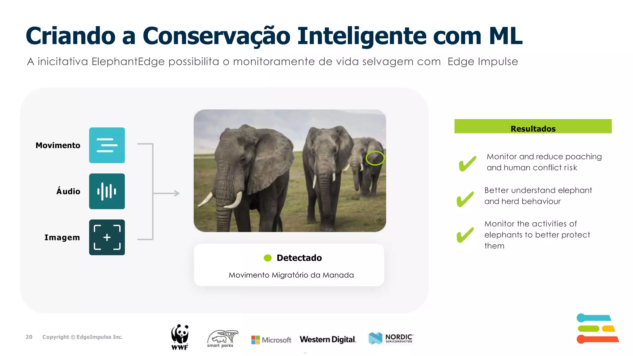 Criando a Conservação Inteligente com ML
Resultados
Better understand elephant
and herd behaviour
Monitor the activities of
elephants to better protect
them
Detectado
Movimento
Áudio
Imagem
A inicitativa ElephantEdge possibilita o monitoramente de vida selvagem com Edge Impulse
20 Copyright © EdgeImpulse Inc.
Monitor and reduce poaching
and human conflict risk
Movimento Migratório da Manada
 