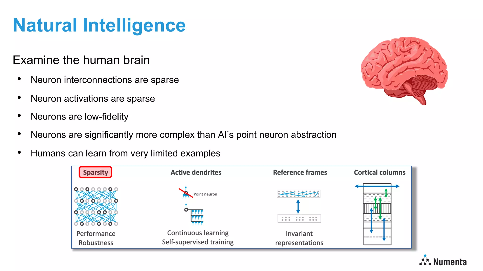 Natural Intelligence
Examine the human brain
• Neuron interconnections are sparse
• Neuron activations are sparse
• Neurons are low-fidelity
• Neurons are significantly more complex than AI’s point neuron abstraction
• Humans can learn from very limited examples
 