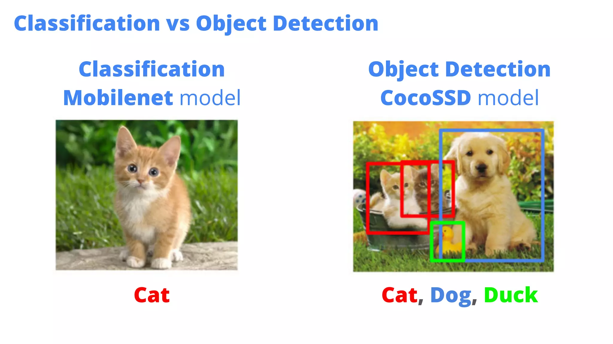 Classiﬁcation
Mobilenet model
Object Detection
CocoSSD model
Cat, Dog, DuckCat
Classiﬁcation vs Object Detection
 