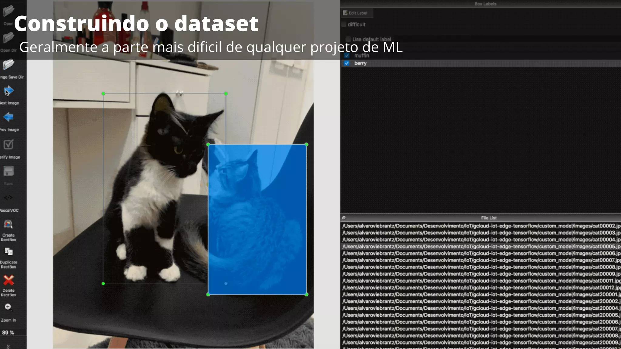 Construindo o dataset
Geralmente a parte mais diﬁcil de qualquer projeto de ML
 