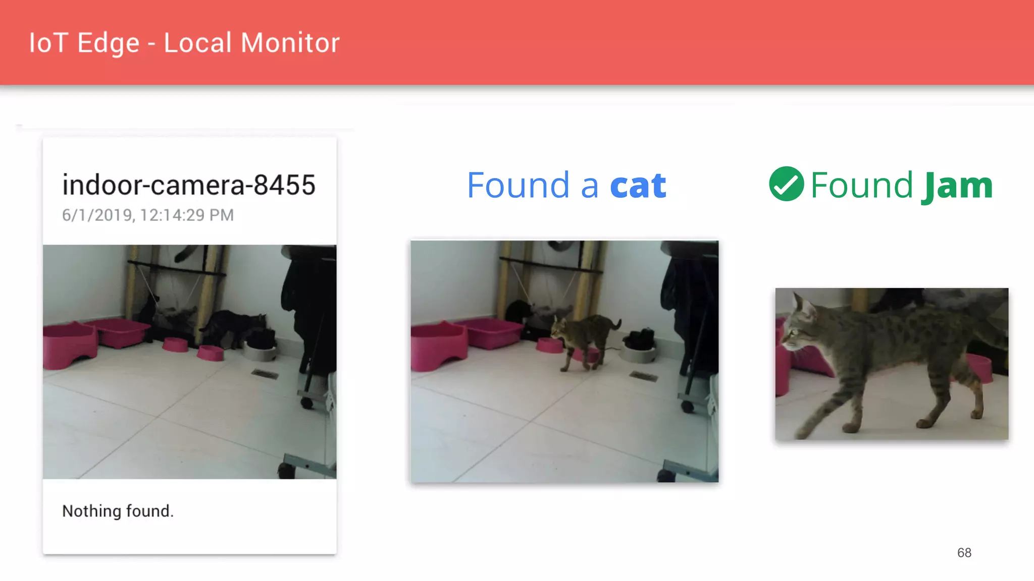 68
Found a cat Found Jam
 