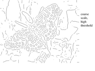coarse
scale,
high
threshold
 