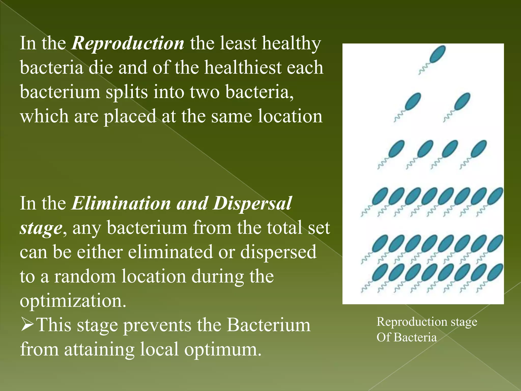 In the Reproduction the least healthy bacteria die and of the healthiest each bacterium splits into two bacteria, which are placed at the same location In the Elimination and Dispersal stage, any bacterium from the total set can be either eliminated or dispersed to a random location during the optimization. This stage prevents the Bacterium Reproduction stage Of Bacteria from attaining local optimum. 