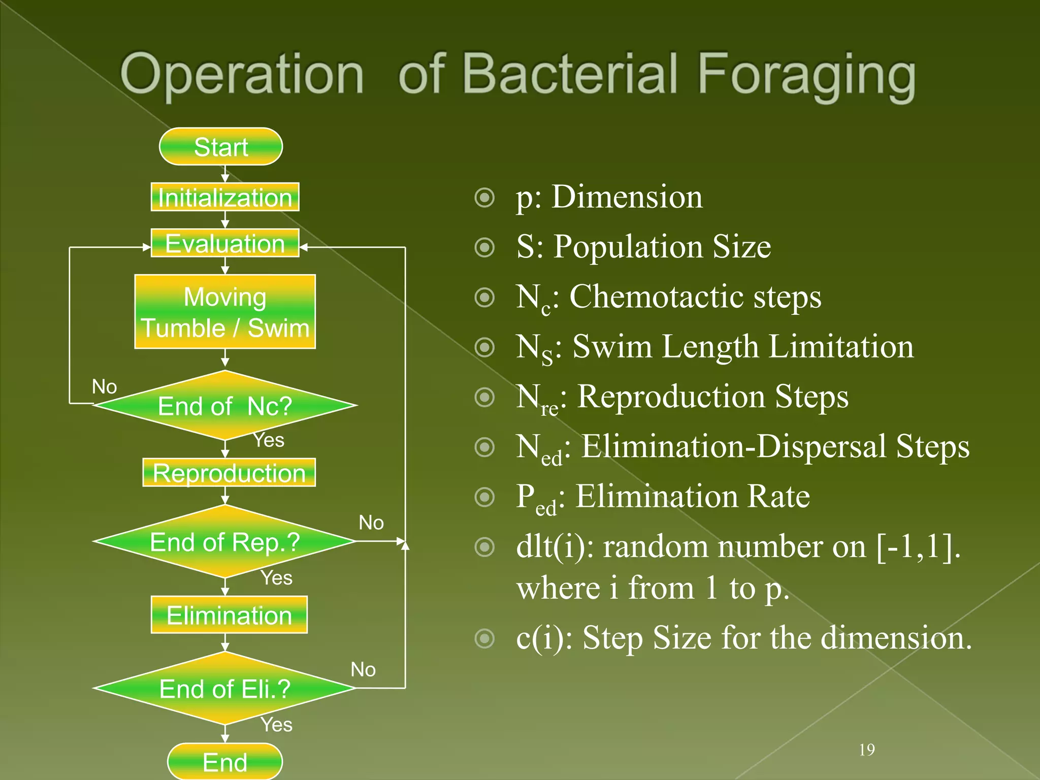 Start Initialization  p: Dimension Evaluation  S: Population Size Moving  Nc: Chemotactic steps Tumble / Swim  NS: Swim Length Limitation No End of Nc?  Nre: Reproduction Steps Yes  Ned: Elimination-Dispersal Steps Reproduction  Ped: Elimination Rate No End of Rep.?  dlt(i): random number on [-1,1]. Yes where i from 1 to p. Elimination  c(i): Step Size for the dimension. No End of Eli.? Yes 19 End 