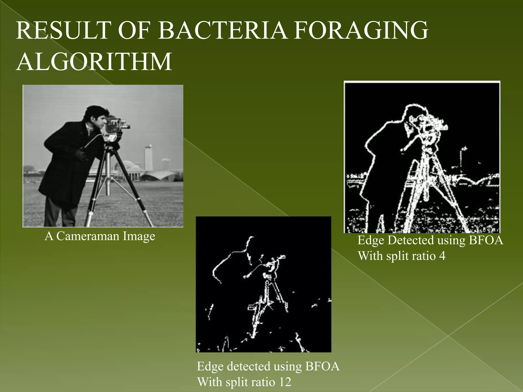 RESULT OF BACTERIA FORAGING ALGORITHM A Cameraman Image Edge Detected using BFOA With split ratio 4 Edge detected using BFOA With split ratio 12 