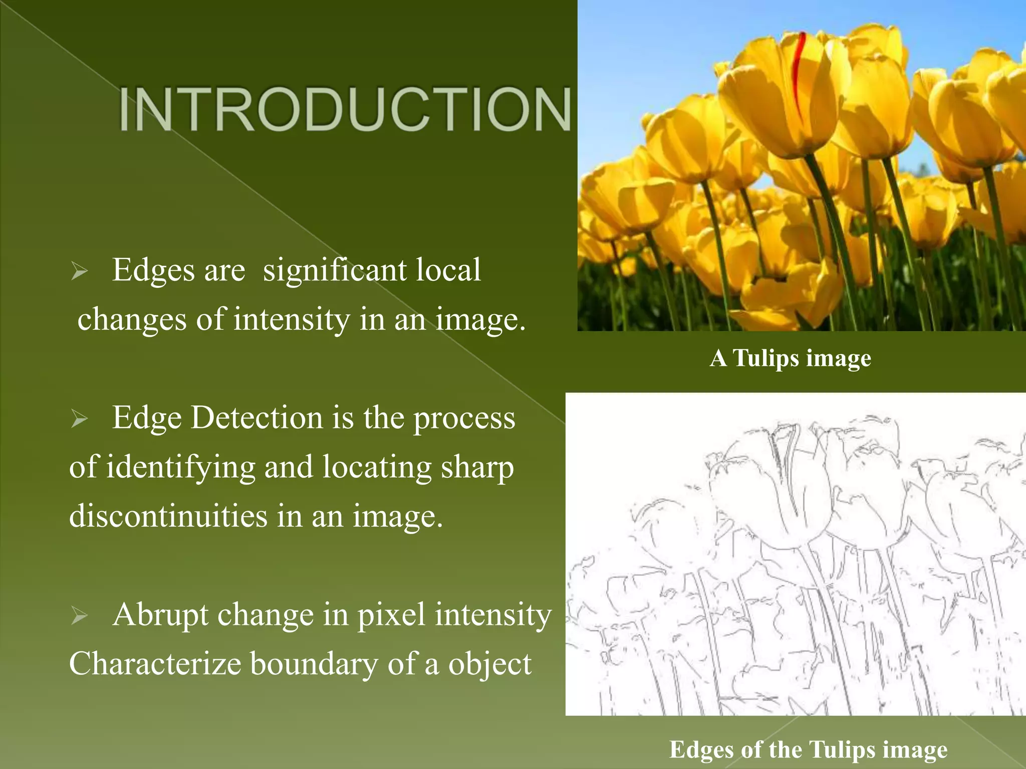  Edges are significant local changes of intensity in an image. A Tulips image  Edge Detection is the process of identifying and locating sharp discontinuities in an image.  Abrupt change in pixel intensity Characterize boundary of a object Edges of the Tulips image 