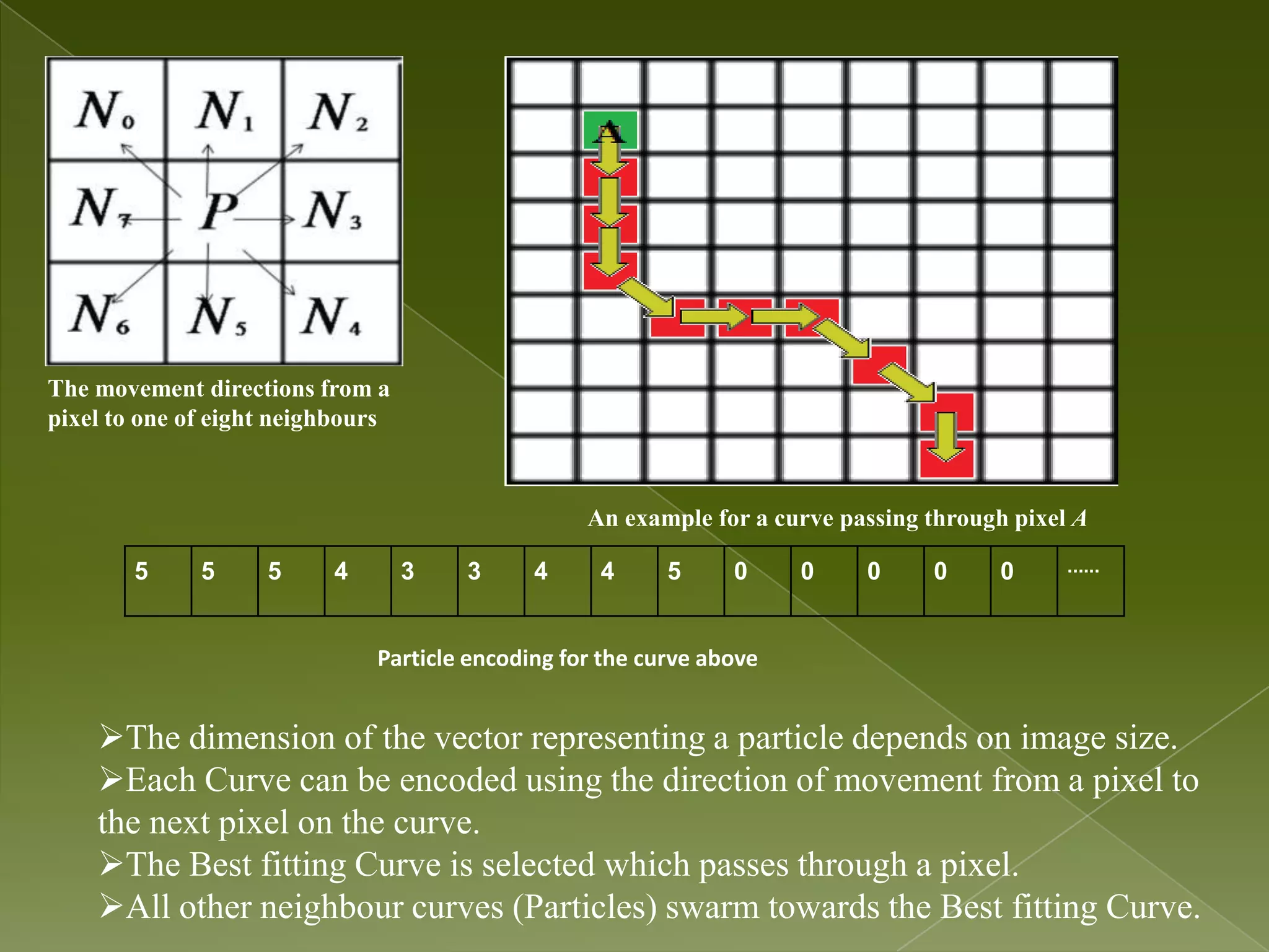 The movement directions from a pixel to one of eight neighbours An example for a curve passing through pixel A 5 5 5 4 3 3 4 4 5 0 0 0 0 0 ...... Particle encoding for the curve above The dimension of the vector representing a particle depends on image size. Each Curve can be encoded using the direction of movement from a pixel to the next pixel on the curve. The Best fitting Curve is selected which passes through a pixel. All other neighbour curves (Particles) swarm towards the Best fitting Curve. 