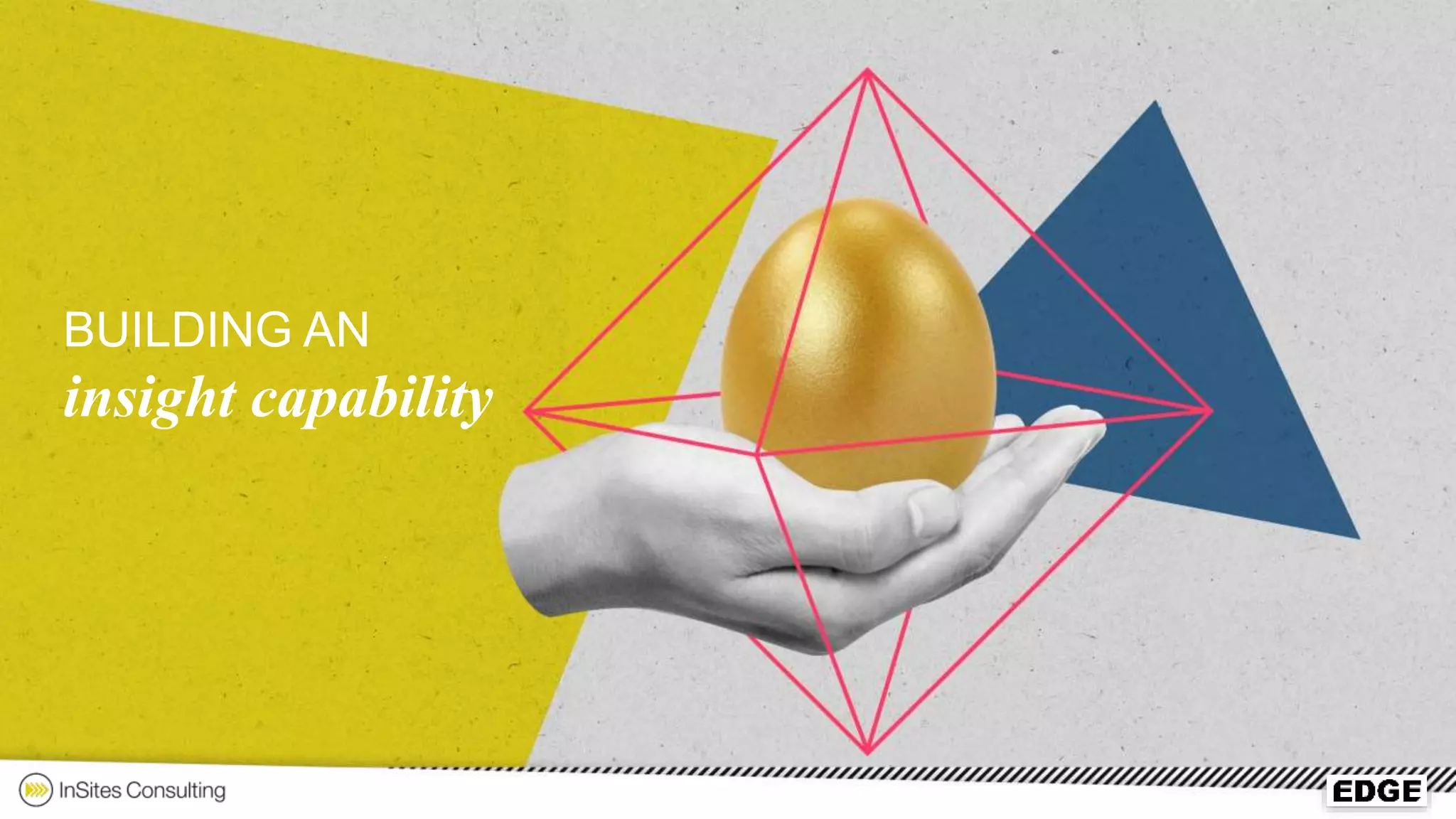 BUILDING AN
insight capability
 