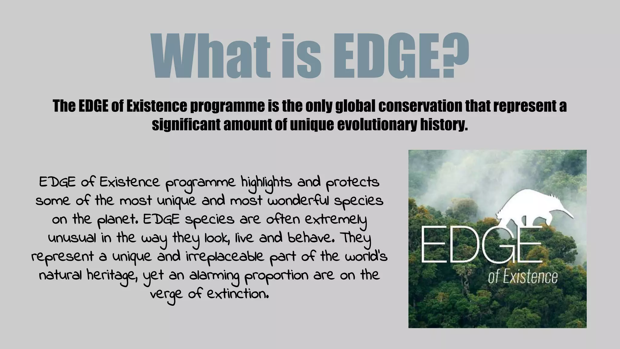 Edge of existence! PPTX