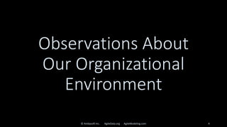 Observations About
Our Organizational
Environment
© Ambysoft Inc. AgileData.org AgileModeling.com 4
 