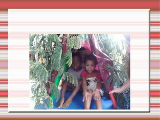 Edi alfredo mercadante