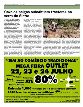 6 Correio de Sintra 22 de Julho de 2011                                                                                                                   Concelho

Concelho
Cavalos belgas substituem tractores na
serra de Sintra
AMBIENTE. Há 35 anos que                  um grande incêndio que deflagrou




                                                                                                                                                                    JoAqUiM REis
os cavalos não eram utilizados na         naquele local.
serra de Sintra para a limpeza de            Habituados a este trabalho for-
matas e prevenção de incêndios.           çado, os três animais custaram 3500
Robustos, obedecem a um dialecto          euros cada um e respondem a um
antigo e puxam árvores até                dialecto antigo, que os tratadores e
                                          trabalhadores da empresa tiveram
1600 quilos, num trabalho sem
                                          que aprender.
impacto ambiental negativo.                  Gaudêncio      Santos    trabalhou
   Na mata da Pena, onde proliferam       durante décadas com as raças por-
as infestantes acácias, prejudiciais às   tuguesas mas, face à necessidade
restantes espécies, há um trabalho de     de aprender o dialecto ao qual os
remoção de madeiras que nunca tem         cavalos respondem, esteve há quatro
fim e que, durante o Verão, repre-        meses na Bélgica para aprender “os
senta uma preocupação constante           truques” e hábitos destes animais e
devido ao risco de incêndios.             para criar um elo de ligação e con-
   A Parques de Sintra Monte da           fiança indispensáveis ao trabalho.      Substituição de máquinas por cavalos não prejudica ambiente.
Lua, empresa pública que gere os             “A comunicação com eles é à base     – em Portugal são mais elevadas                pela floresta gerida pela Parques de
parques e palácios de Sintra classi-      de oito códigos. Há muitas diferenças   – que representam um maior des-                Sintra Monte da Lua, a utilização
ficados pela UNESCO como patri-           [relativamente às outras raças],        gaste, enquanto dois dos cavalos tra-          destes animais na serra tem inú-
mónio mundial, adquiriu, há quatro        mas estes também são inteligentes,      balham, outro descansa, alternada-             meras vantagens relacionadas com a
meses, três cavalos ao Estado belga,      meigos e não têm medo de uma            mente.                                         conservação da natureza.
numa solução muito produtiva, que         motosserra ou quando uma árvore           “Em três horas que aqui estiveram              “Não têm quase impactos do
não tem impacto ambiental negativo        cai perto deles”, disse o tratador ao   carregaram dois camiões de lenha.              ponto de vista ambiental, nomeada-
na zona.                                  Correio de Sintra.                      Trouxemos estes cavalos para traba-            mente ao nível da erosão dos solos,
   Bebem oitenta litros de água por          De raça Ardennais e com cerca de     lhar aqui especificamente onde não             da poluição sonora, da ausência
dia, comem nove quilos de ração           900 quilos, a força com que arrastam    vão as máquinas, para não estragar             de combustíveis fosseis, e portanto
e fazem de tractores nas matas da         árvores de vários metros ainda hoje     certas espécies de árvores que vivem           apresentam-se como uma alternativa
serra de Sintra, a quem deram lugar       impressiona quem os vê trabalhar.       aqui”, adiantou Gaudêncio Santos.              bastante viável,” disse.
há mais de trinta anos, depois de         Face às diferenças de temperaturas        Para Nuno Oliveira, responsável                 Joaquim Reis
PUB
 