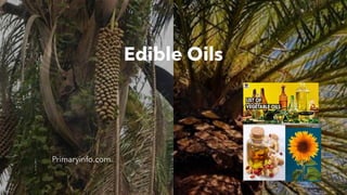 Edible Oils
Primaryinfo.com
 