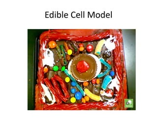 Edible Cell Model

 