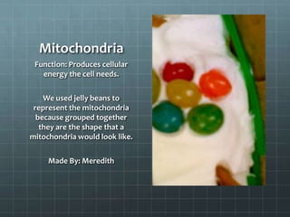 Mitochondria
 Function: Produces cellular
   energy the cell needs.

    We used jelly beans to
 represent the mitochondria
  because grouped together
   they are the shape that a
mitochondria would look like.

     Made By: Meredith
 