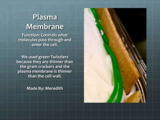 Plasma
    Membrane
 Function: Controls what
molecules pass through and
      enter the cell.

  We used green Twizzlers
because they are thinner than
 the gram crackers and the
plasma membrane is thinner
     than the cell wall.

     Made By: Meredith
 