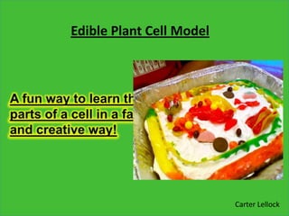 Edible Plant Cell Model




                          Carter Lellock
 