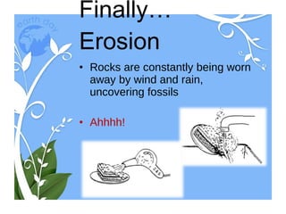 Finally…Erosion Rocks are constantly being worn away by wind and rain, uncovering fossils Ahhhh! 