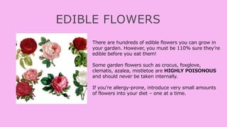 EDIBLE FLOWERS
There are hundreds of edible flowers you can grow in
your garden. However, you must be 110% sure they’re
edible before you eat them!
Some garden flowers such as crocus, foxglove,
clematis, azalea, mistletoe are HIGHLY POISONOUS
and should never be taken internally.
If you’re allergy-prone, introduce very small amounts
of flowers into your diet – one at a time.
 