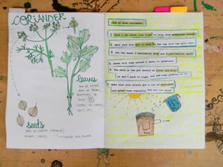 Edible garden guide pushpi bagchi