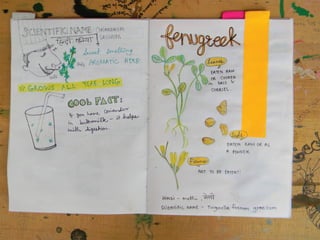 Edible garden guide pushpi bagchi