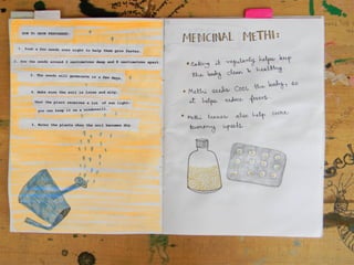 Edible garden guide pushpi bagchi