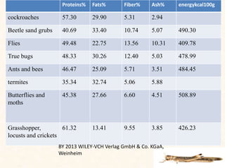 Edible insects | PPTX