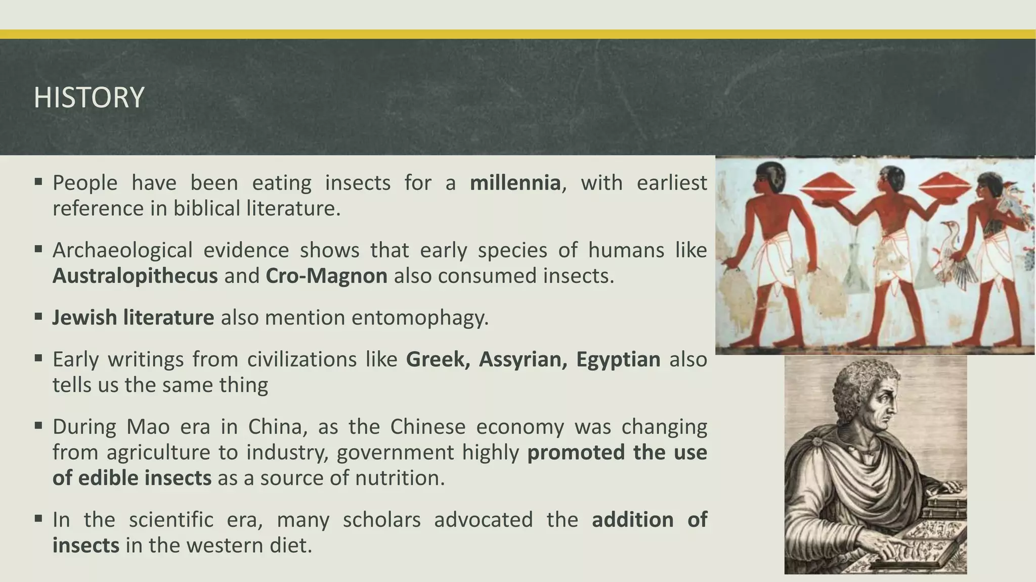 EDIBLE INSECTS IN NUTRITION.pptx