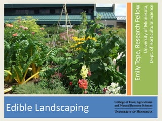 Emily Tepe, Research Fellow University of Minnesota,Dept. of Horticultural Science Edible Landscaping 