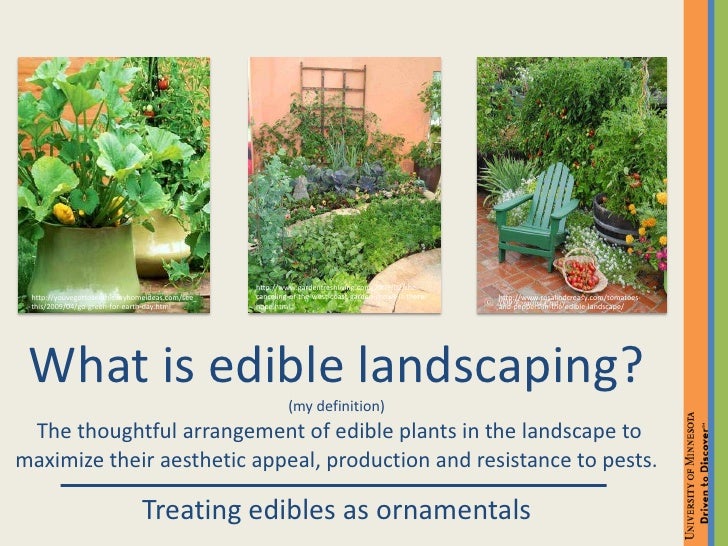 landscaping definition