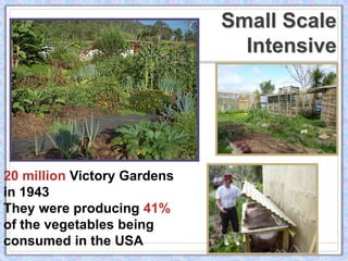 Small Scale
                               Intensive




20 million Victory Gardens
in 1943
They were producing 41%
of the vegetables being
consumed in the USA
 