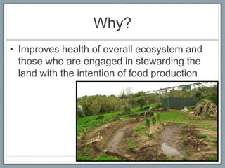 Why?
• Improves health of overall ecosystem and
  those who are engaged in stewarding the
  land with the intention of food production
 