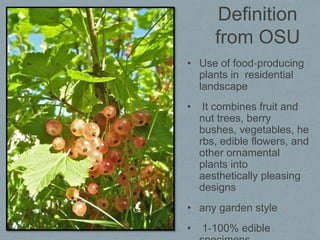 Definition
       from OSU
• Use of food‐producing
  plants in residential
  landscape
•    It combines fruit and
    nut trees, berry
    bushes, vegetables, he
    rbs, edible flowers, and
    other ornamental
    plants into
    aesthetically pleasing
    designs
• any garden style
•   1‐100% edible
 