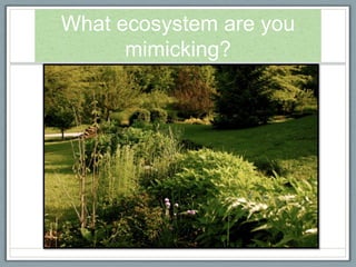 What ecosystem are you
      mimicking?
 