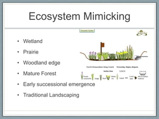 Ecosystem Mimicking

• Wetland

• Prairie

• Woodland edge

• Mature Forest

• Early successional emergence

• Traditional Landscaping
 