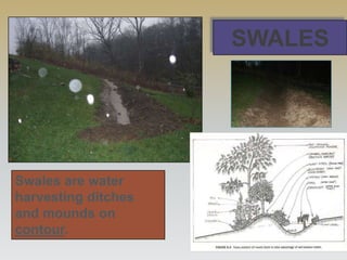 SWALES




Swales are water
harvesting ditches
and mounds on
contour.
 