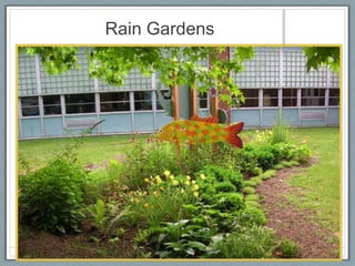 Rain Gardens
 