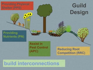 Providing Physical
Shelter (PPS)                               Guild
                                           Design


 Providing
 Nutrients (PN)

                     Assist in
                     Pest Control
                                    Reducing Root
                     (APC)
                                    Competition (RRC)


 build interconnections
 
