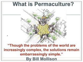 What is Permaculture?




 "



  “Though the problems of the world are
increasingly complex, the solutions remain
         embarrassingly simple.”
            By Bill Mollison
 