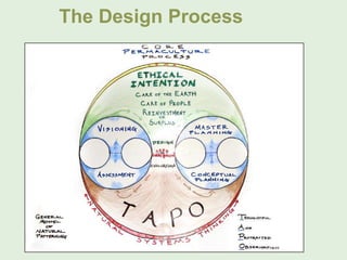 The Design Process
 