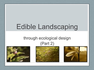 Edible Landscaping
  through ecological design
           (Part 2)
 