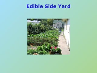 Edible Landscaping | PDF