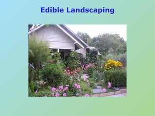 Edible Landscaping | PDF